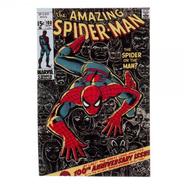 Das erstaunliche Spider-Man Lanyard
