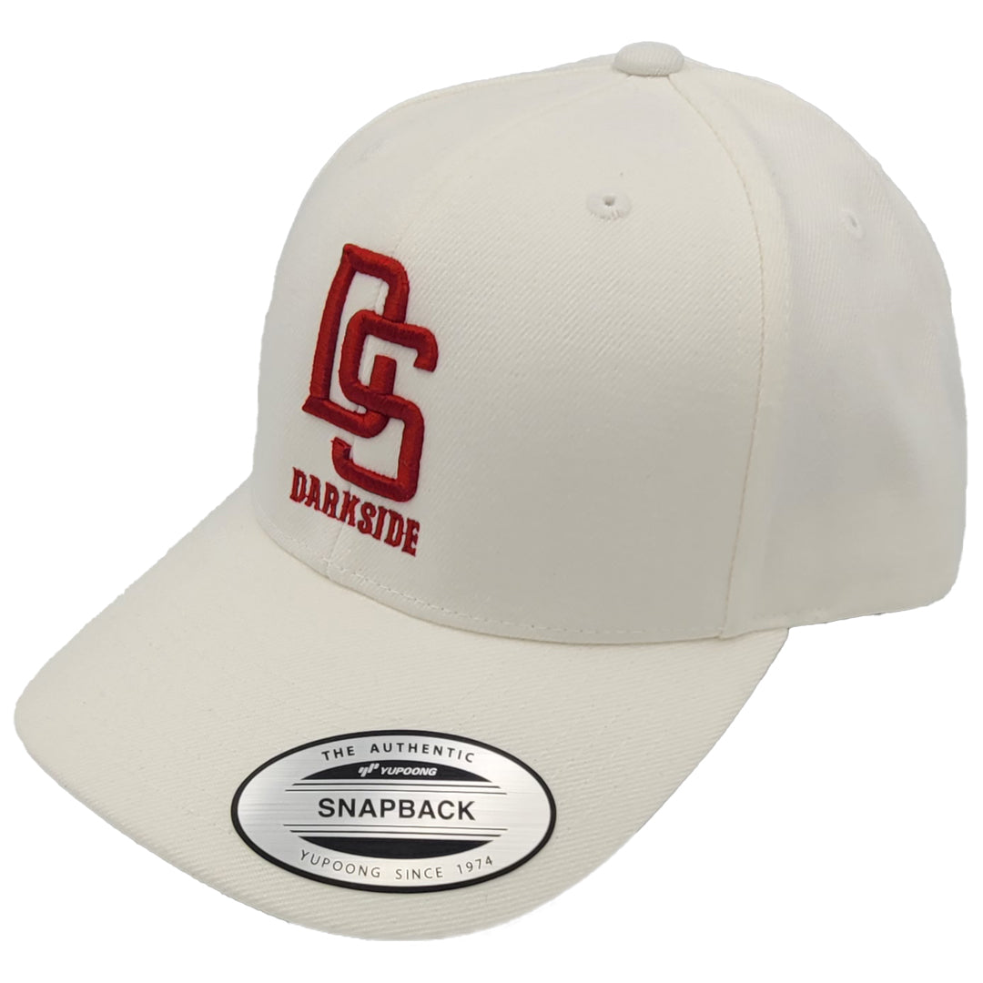 CBC | DarkSide Emsticked Snapback Hat